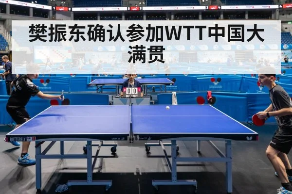 ping pong championship