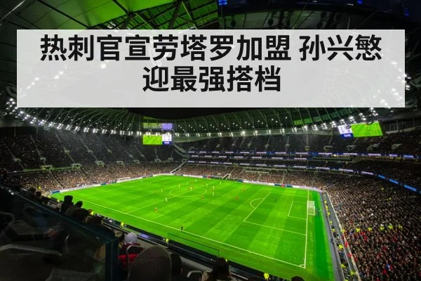 热刺官宣劳塔罗加盟 孙兴慜迎最强搭档