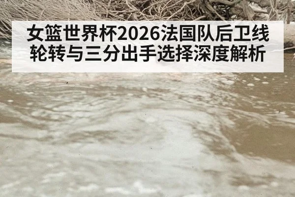 女篮世界杯2026法国队后卫线轮转与三分出手选择深度解析